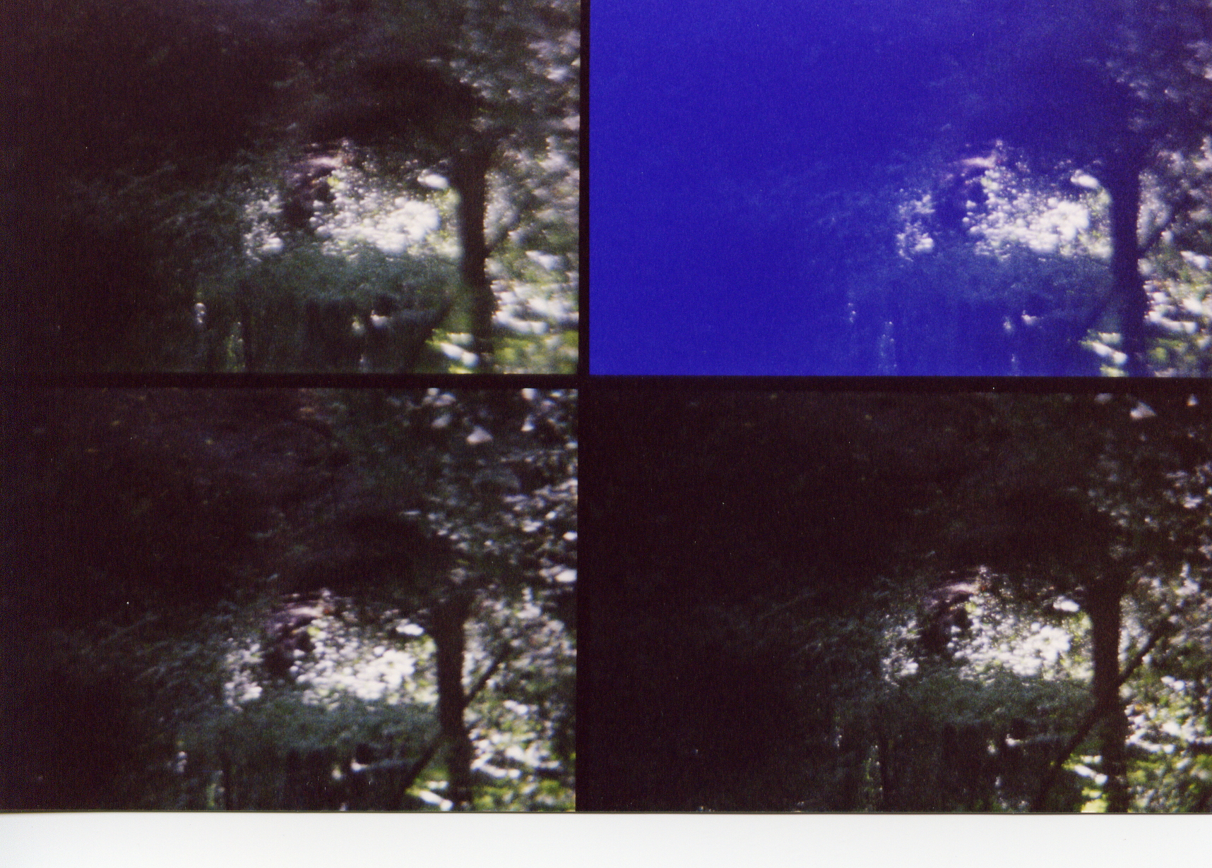 Four lens camera photograph with unexplained anomaly