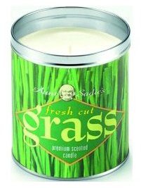 Men's Ghost Hunter Christmas Gift Idea for 2012 Fresh Cut Grass Candle Scent