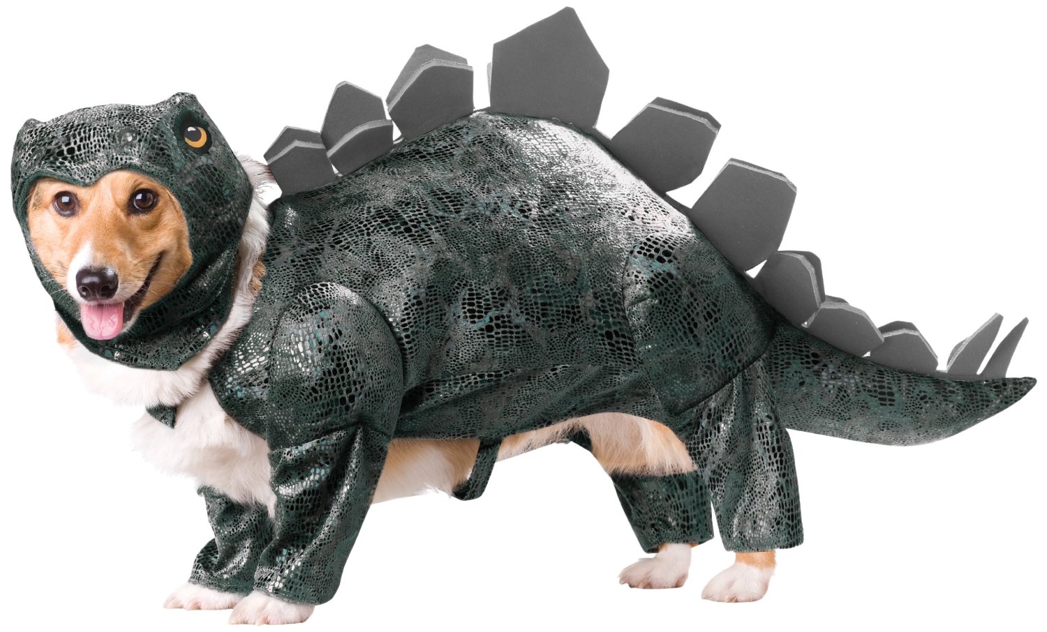 Dinosaur Dog Best Pet Halloween Costume for 2012